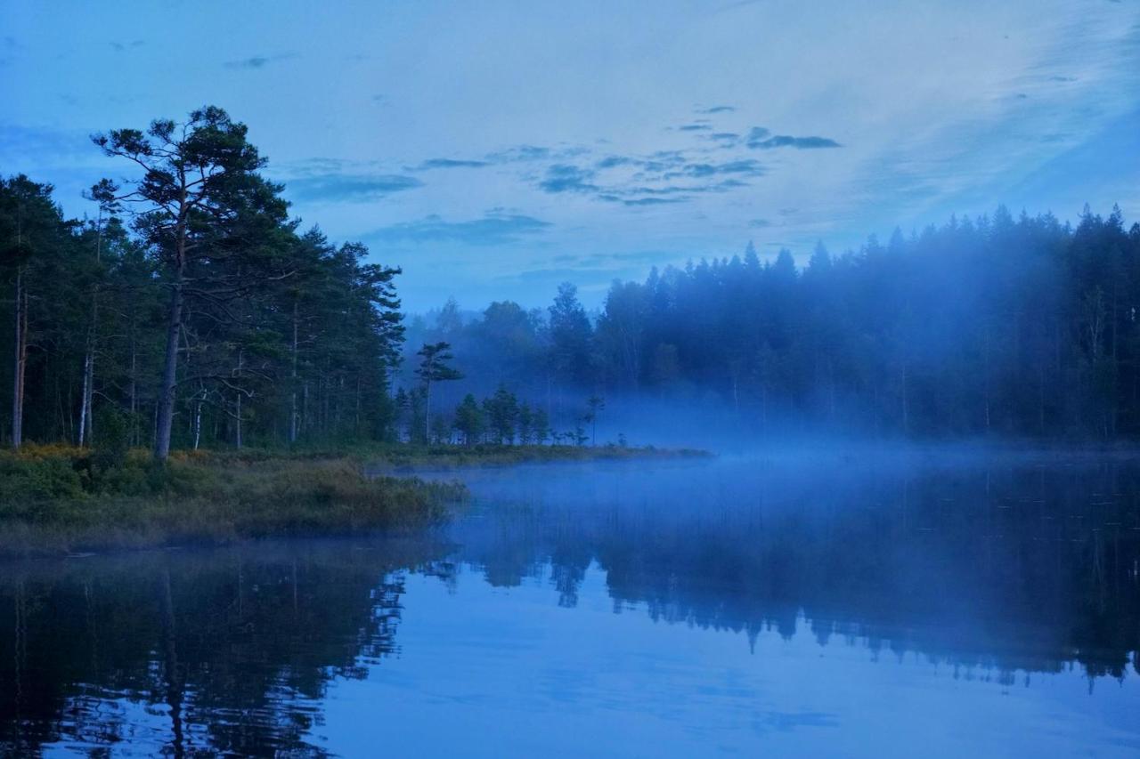 Nordic Refuge B&B Froskog エクステリア 写真